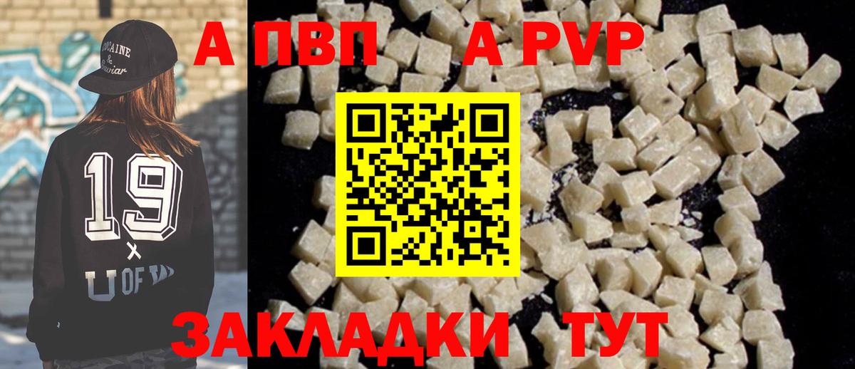 Альфа ПВП СК КРИС Сальск