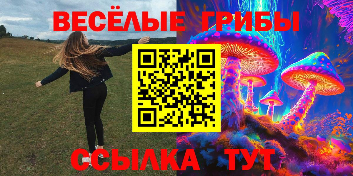 купить   Псилоцибиновые грибы мицелий  Вход с VPN  Сальск 
